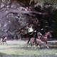 photo du film Hardi pardaillan