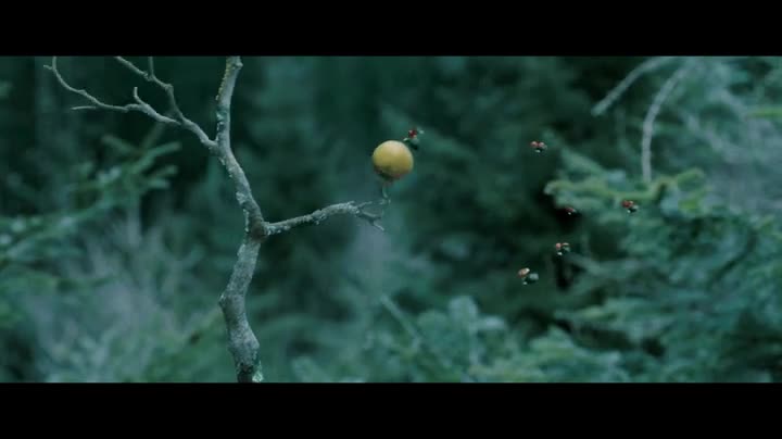 Un extrait du film  Minuscule – Les Mandibules du Bout du Monde