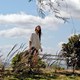 photo du film L'Arbre
