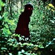 photo du film Oncle Boonmee (celui qui se souvient de ses vies antérieures)