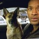 photo du film Je suis une légende
