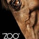 photo du film Zoo