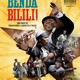 photo du film Benda Bilili !