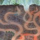 photo du film Ma petite planète chérie