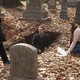 photo du film After Life