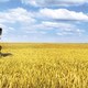 photo du film Arthur 3 : La Guerre des deux mondes