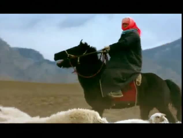 Extrait vidéo du film  Le Mariage de Tuya