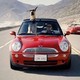 photo du film Marmaduke