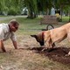 photo du film Marmaduke