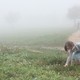 photo du film Nos résistances