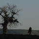 photo du film L'Enfant-cheval