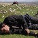 photo du film L'Enfant-cheval