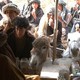 photo du film L'Enfant-cheval