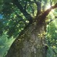 photo du film Arrietty, le petit monde des chapardeurs