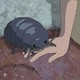 photo du film Arrietty, le petit monde des chapardeurs