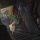 photo du film Arrietty, le petit monde des chapardeurs