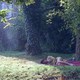 photo du film Non ma fille tu n'iras pas danser