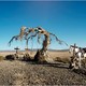 photo du film Lucky Luke