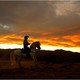 photo du film Lucky Luke