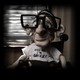 photo du film Mary et Max