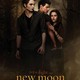 photo du film Twilight - Chapitre 2 : Tentation