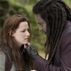 photo du film Twilight - Chapitre 2 : Tentation