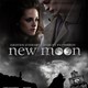 photo du film Twilight - Chapitre 2 : Tentation