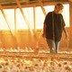 photo du film Food, Inc.
