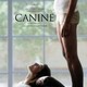 photo du film Canine
