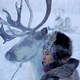 photo du film Loup