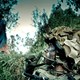 photo du film Armadillo