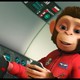 photo du film Les chimpanzés de l'espace 2