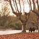 photo du film Le Fils à Jo