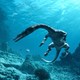 photo du film Océanosaures 3D : voyage au temps des dinosaures