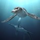 photo du film Océanosaures 3D : voyage au temps des dinosaures