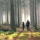 photo du film Hinter kaifeck