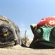 photo du film Rango