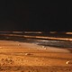 photo du film Le vagabond