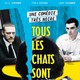 photo du film Tous les chats sont gris