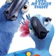 photo du film Rio