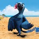 photo du film Rio