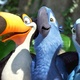 photo du film Rio