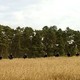 photo du film Il était une fois un meurtre