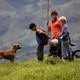 photo du film Les couleurs de la montagne