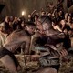 photo de la série Spartacus