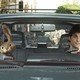 photo du film Hop