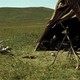 photo du film Les deux chevaux de Gengis Khan