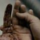 photo du film Splinter
