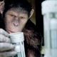 photo du film La Planète des singes : les origines