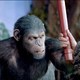 photo du film La Planète des singes : les origines